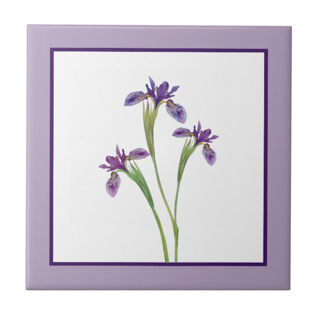 Elegante Lila Aquarellfarben Iris Blume Botanisch Fliese (Vorderseite)