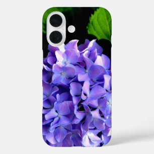 Elegante lila, blühende lila Hydrangeas iPhone 16 Hülle