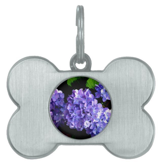 Elegante lila, blühende lila Hydrangeas Tiermarke (Vorderseite)