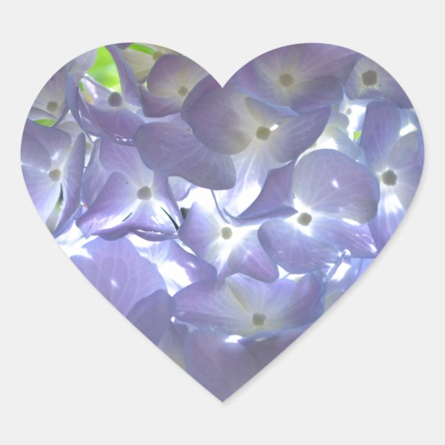 Elegante, lila Blumen Lavender Hydrangeas Herz-Aufkleber (Vorderseite)