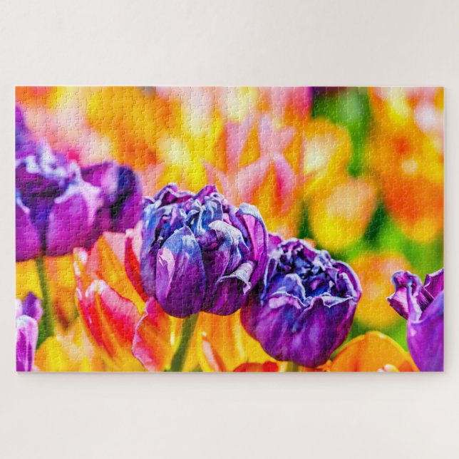 Elegante Lila, gelbe Tulip-Blume Puzzle (Horizontal)