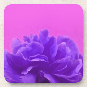 Elegante lila Himbeer-Blumen Untersetzer