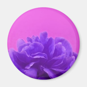 Elegante Lila Himbeere Magnet