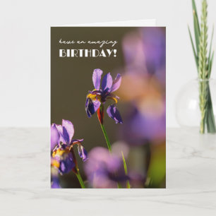Elegante lila Iris-Blumen-Geburtstag Karte