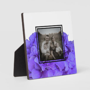 Elegante lila Lava lilac blühende Hydrangeas Fotoplatte