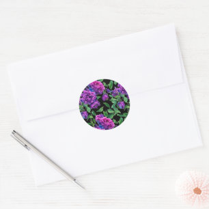 Elegante lila-magenta Aquarell-Blumensträuße Blume Runder Aufkleber