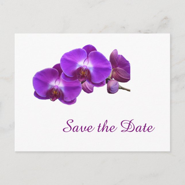 Elegante, lila Orchideen-Blume Save the Date Ankündigungspostkarte (Vorderseite)