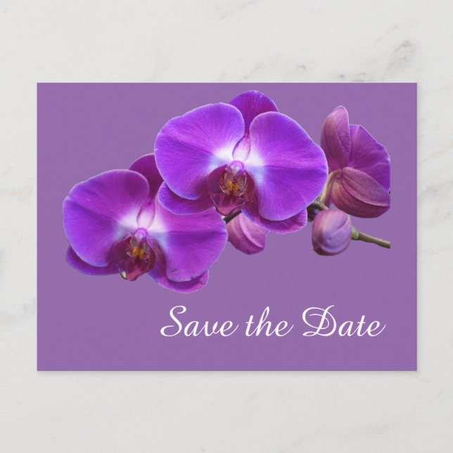 Elegante, lila Orchideen-Blume Save the Date Ankündigungspostkarte (Vorderseite)