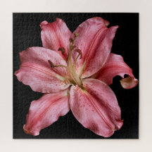 Elegante Lily-Kollektion auf Schwarz
