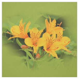 Elegante Lüge der Inkas / Gelbe Alstroemeria Stoff