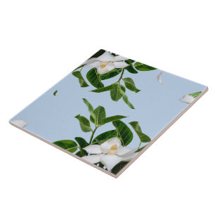 Elegante Magnolienblüten-Dekorative Keramikfliese