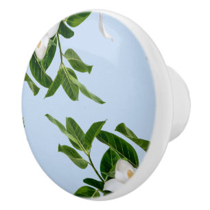 Elegante Magnolienblüten-Keramikknopf Keramikknauf