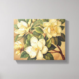 Elegante Magnolienblüten-Wandkunst Leinwanddruck