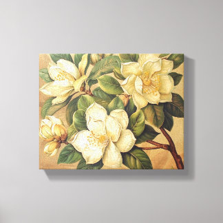 Elegante Magnolienblüten-Wandkunst Leinwanddruck