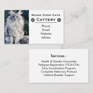 Elegante Maine Coon Katzenzucht & Professioneller Visitenkarte