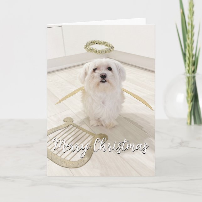Elegante Maltese Dog Angel Weihnachtskarte Karte (Vorderseite)