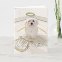 Elegante Maltese Dog Angel Weihnachtskarte