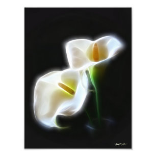 Elegante moderner Druck der Calla-Lilien-Blumen-13
