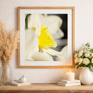 Elegante Narzissen-Blumenfotografie von Meggidoo Poster