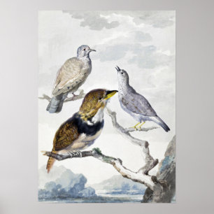 Elegante neutrale Ton Vögel auf Ast Kunst Poster