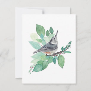 Elegante Nuthatch Watercolor Note Card