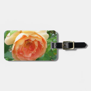 Elegante Orange Blush Rose Gepäckanhänger