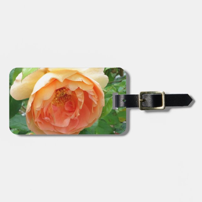 Elegante Orange Blush Rose Gepäckanhänger (Vorderseite horizontal)