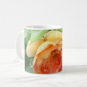 Elegante Orange Blush Rose Kaffeetasse