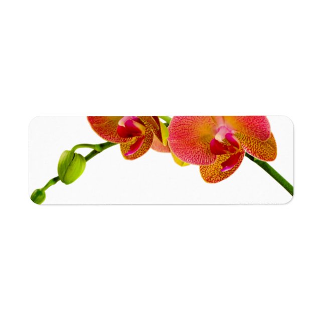 Elegante Orange Orchids Custom Blank Labels (Vorne)