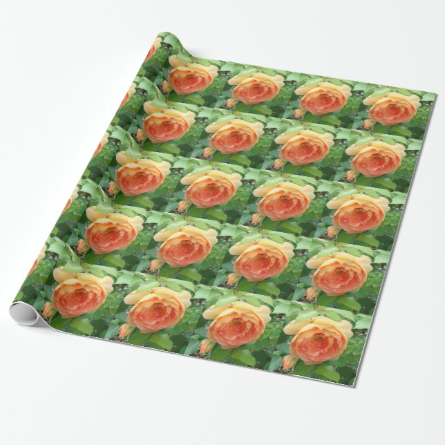 Elegante Orange-Rose Geschenkpapier (Ungerollt)