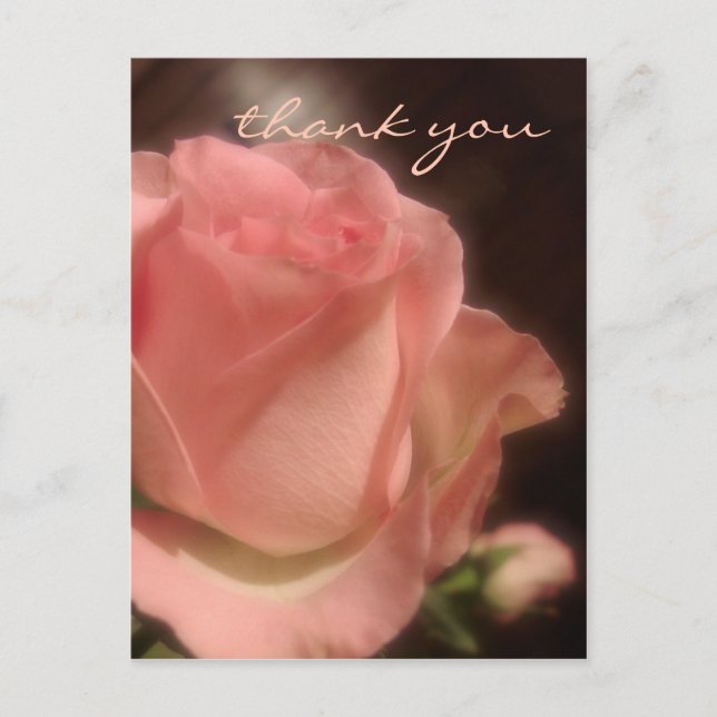 Elegante Peach Rose - Vielen Dank Postcard Postkarte (Vorderseite)