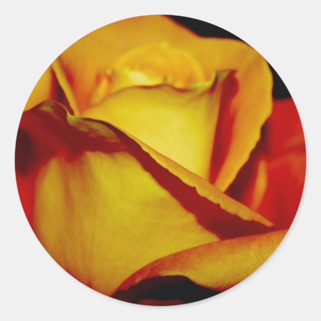 Elegante Peach Wedding Umschlag Aufkleber und Aufk (Vorderseite)