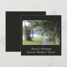 Elegante Personalisierte Evergreen Branches Dunkel