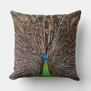 Elegante Pfauen-Vogel- und Feder-Kunst Kissen