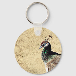 Elegante Pfauen-Vogel- und Feder-Kunst Schlüsselanhänger