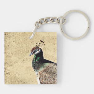 Elegante Pfauen-Vogel- und Feder-Kunst Schlüsselanhänger