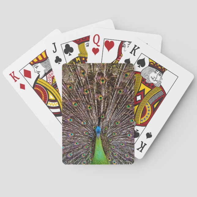 Elegante Pfauen-Vogel- und Federkunst Spielkarten (Rückseite)