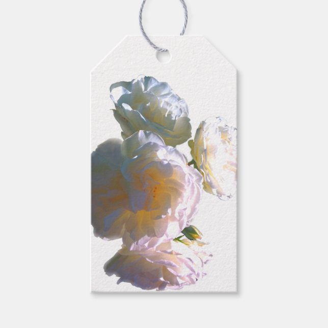 Elegante, pfirsichorange Rose Geschenkanhänger (Vorderseite)