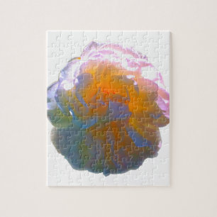 Elegante, pfirsichorange Rose Puzzle