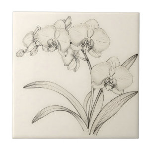 Elegante Phalaenopsis-Orchideen-Linienkunst Fliese