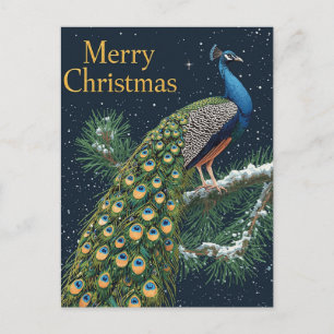 Elegante Pine Branch Merry Christmas Holida Feiertagspostkarte