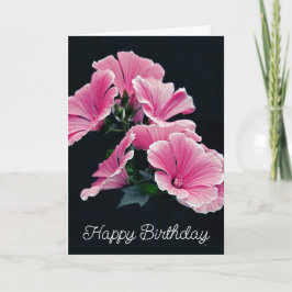 Elegante Pink Hollyhock Malva Blume Karte