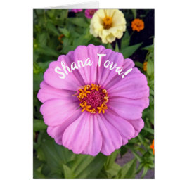 Elegante Pink Zinnia Blume Rosh Hashanah Card