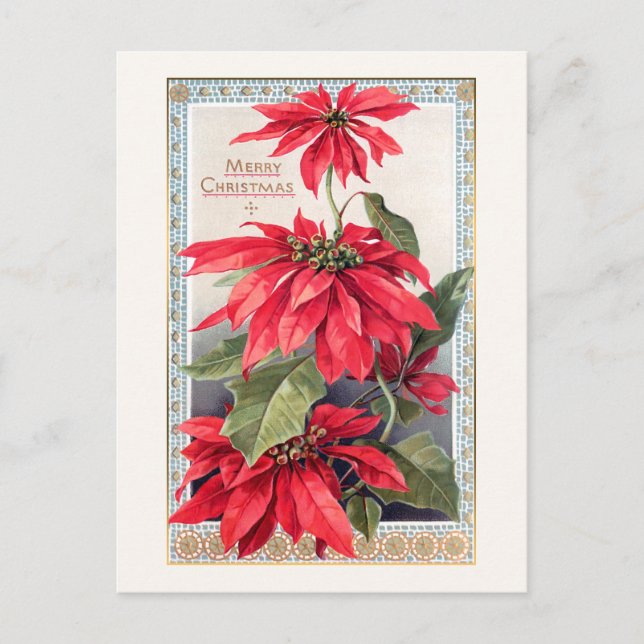 Elegante Poinsettias in dekorativem Goldrahmen Postkarte (Vorderseite)