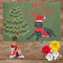 Elegante praktische Farben schöne schwarze Labrado Fußmatte