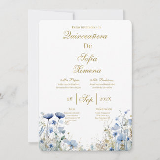 Elegante Quinceañera-Einladung Einladung