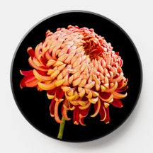 Elegante Red Gold Mum Blume Personalisiert