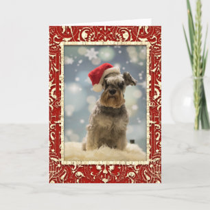 Elegante Red Golden Dog Weihnachten