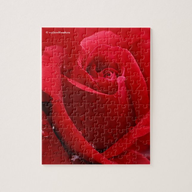 Elegante romantische Rote Rose Puzzle (Vertikal)