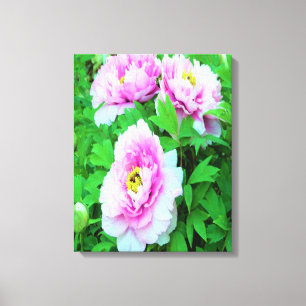 Elegante rosa Baumpäonienblüten mit gelbem Zentrum Leinwanddruck